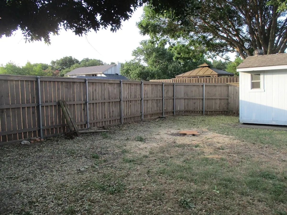 Cleared yard after professional tree removal in Lake Geneva