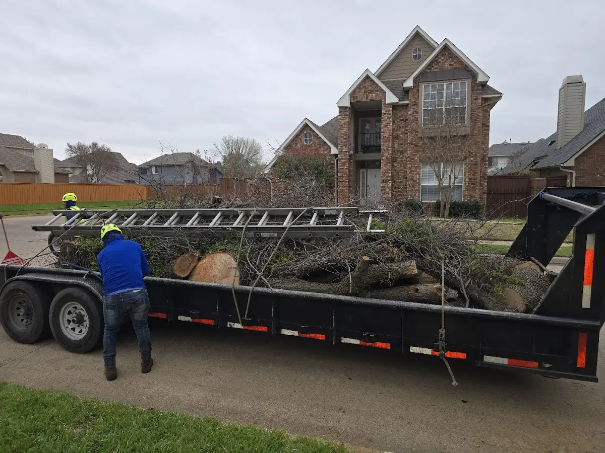 Expert Tree Removal with proper safety equipment in Lake Geneva